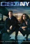 CSI NY Blink