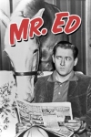 Mister Ed The Contest