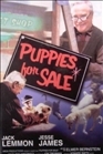 Puppies for Sale