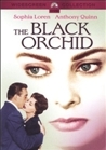 The Black Orchid