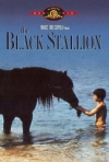 The Black Stallion