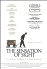 The Sensation of Sight