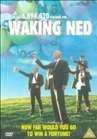 Waking Ned