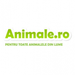 Animale.ro cel mai bun site pentru iubitorii de animale