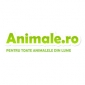 Animale.ro cel mai bun site pentru iubitorii de animale