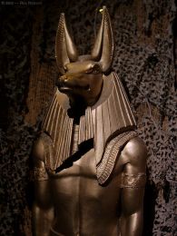 Anubis