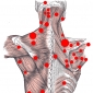 Articulatiile centurii scapulare