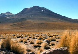 Aventurosul Desert Atacama