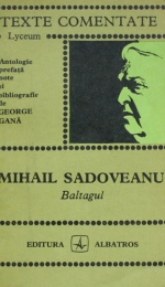 Baltagul de Mihail Sadoveanu - caracterizarea Vitoriei Lipan