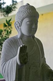 Budismul in India