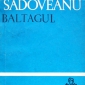 Caracterizare Gheorghita - Baltagul