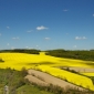 Clima de dealuri si podis din Romania