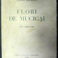 Comentariu - Flori de mucigai