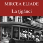 Comentariu - La tiganci de Mircea Eliade