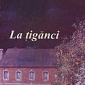 Comentariu - La tiganci