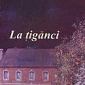 Comentariu - La tiganci