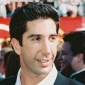 David Schwimmer in Friends