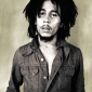 Despre Bob Marley