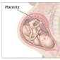 Despre placenta