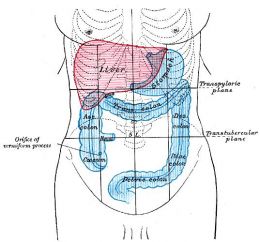 Despre prostatita