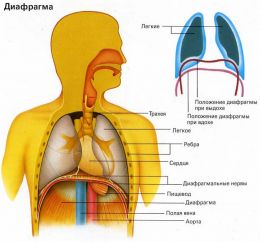 Despre respiratie