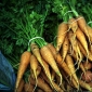 Efectele benefice ale supei de morcovi
