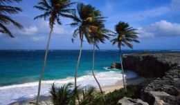 Exotismul Insulei Barbados