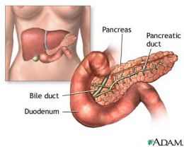 Fiziologia pancreasului