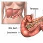 Fiziologia pancreasului