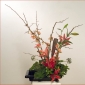 Ikebana