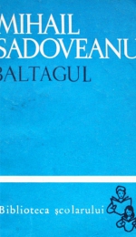 Mihail Sadoveanu: Caracterizarea Vitoriei Lipan din Baltagul
