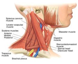 durere de tragere în articulația umărului tratamentul cu neuropatie la cot