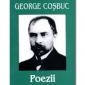 Referat - Critici Literari: George Cosbuc