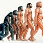 Referat - Evolutia Omului