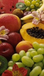 Referat - Fructe si seminte