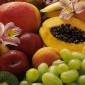 Referat - Fructe si seminte