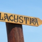 Referat - Lacustra