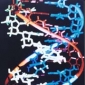 Referat : Structura macromoleculei de ADN