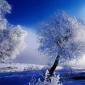 Referat despre Pastel: Iarna de Vasile Alecsandri