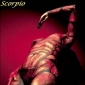 Scorpionul si capacitatea sa de seductie