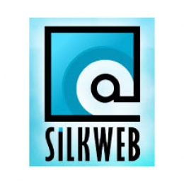 Silkweb.ro - 'Firma de web design din Baia Mare'