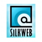 Silkweb.ro - 'Firma de web design din Baia Mare'