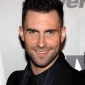 adam noah levine