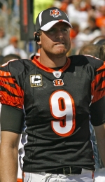 Carson Palmer