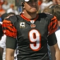 Carson Palmer