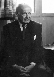 Tenen Holtz