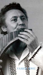 Vasile Iovu