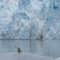 Antarctica, continentul de sub gheata