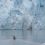 Antarctica, continentul de sub gheata