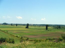 Campia Romana